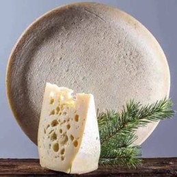 Mountain cheese from Sesto...