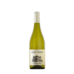Müller Thurgau - 2024 - St....