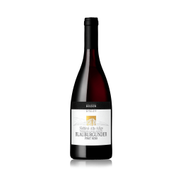 Pinot nero - 2024 - Cantina...